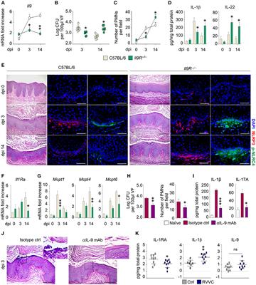 IL-9 Integrates the Host-Candida Cross-Talk in Vulvovaginal Candidiasis to Balance Inflammation and Tolerance